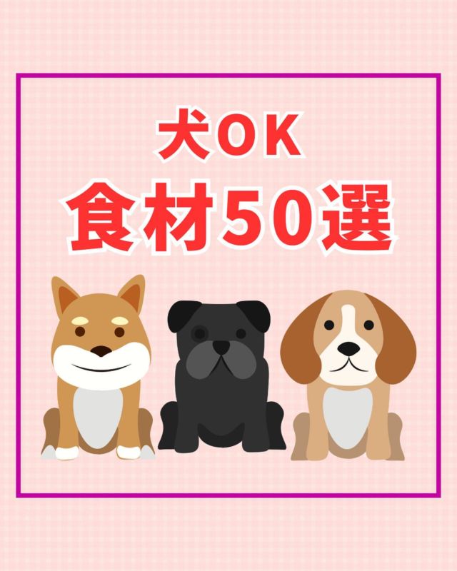 犬の保育園 ほめほめホーム – 横浜市の犬のしつけ・ドッグトレーニング